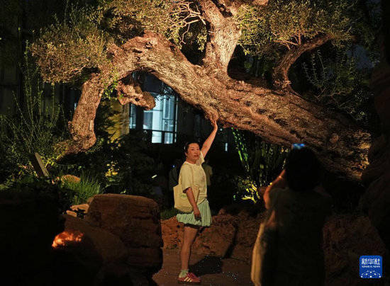 郑州股票配资公司 上海：徜徉温室花园“奇妙夜”